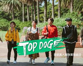 小优传媒《TOP DOG》免费在线观看