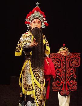 小妲己直播《袁崇焕2009》免费在线观看