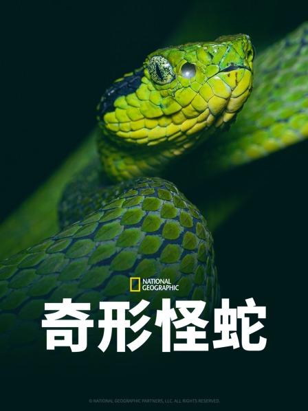 小妲己直播《奇形怪蛇》免费在线观看